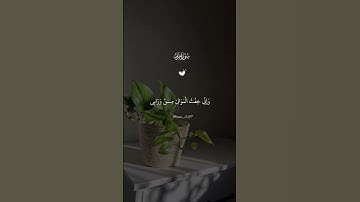 استماع الي القرآن الكريم 💙🌸🎧 #quotes #اكسبلور #الرحمن #دويتو #العظماء #لايك #اعتني #تيك_توك #ترند 🙏🕋