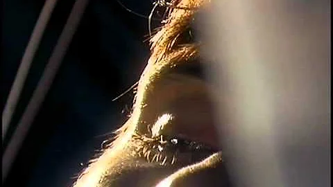 28 Days Later Trailer