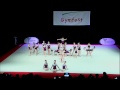 Gymfest 2015 Largs Display Team
