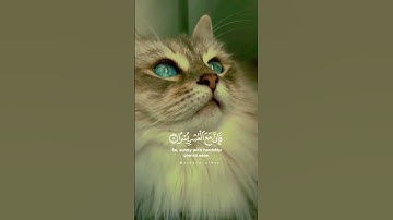 احمد العجمي.  سورة الشرح #ستوريات #quran #قران_كريم #حالات_واتس