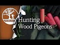 Bushcraft Hunting Wood Pigeons & Grey Squirrel