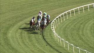 Vidéo de la course PMU THE VERY ONE STAKES