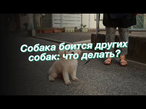 Видео: Как спать с ящиком для мусора в вашей спальне