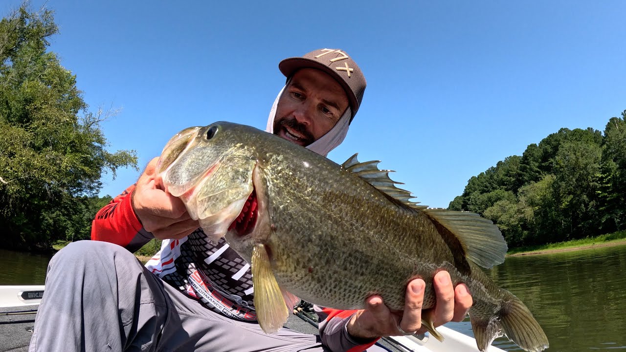 BIG BASS at Lake HARTWELL (BFL SUPER Day 1)