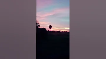 Ytshorts Trendingshorts Adi A2 