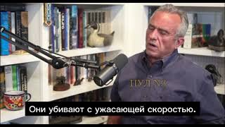 Роберт Кеннеди-младший "Украине никогда не победить Россию"