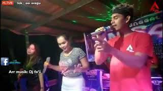 mix Dut asyik goyang senggol|| all artis Anisa musik