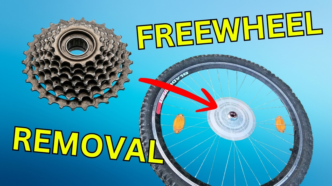 How to Remove a Bicycle Freewheel and Ball Bearings 🚲 - YouTube