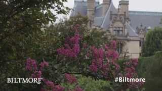 Summer at Biltmore