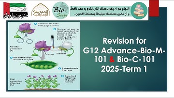Revision for G12 Advance, Bio-M-101 & Bio-C-101, 2025 -Term 1 (Part 4)