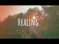 Miscinc  healing