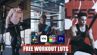 Free CINEMATIC WORKOUT Luts | How To Use Luts In Adobe Premiere Pro
