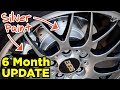 Painted Rear Calipers &amp; Brake Rotors - 6 Month Durability Update