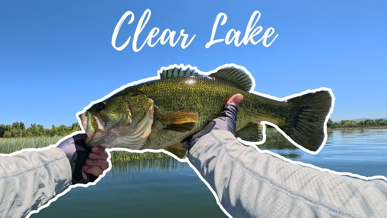 Clear Lake Bass Fishing!