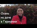 На даче осенью. Подготовка участка к зиме. Последние штрихи. Костер.Оплатили аренду. Дача в Германии