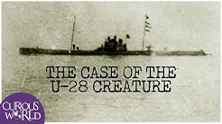 The Case of the U-28 Creature