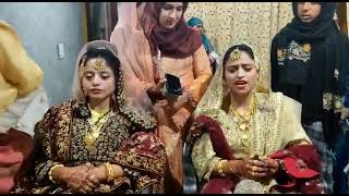 Kashmiri new marriage song || Kashmiri shadii video || Kashmiri songs