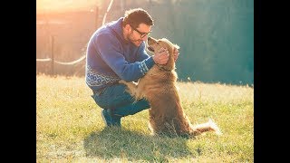 Как отучить собаку прыгать на хозяина? Как отучить собаку прыгать на хозяина?