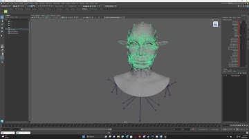 UE 5.2 Mesh Morpher - Export baked Meta Human changes to .dna file