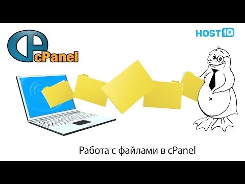 Бейне: CPanel-ді зиянды бағдарламаға қалай сканерлеймін?