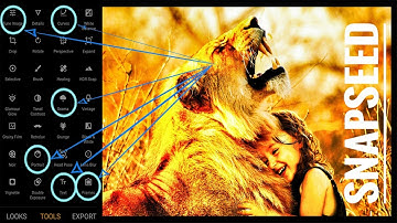 Snapseed Amazing Photo Editing Tutorial | Photo Frame | Snapseed text