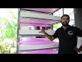 Vertical hydroponic system | Described in Malayalam