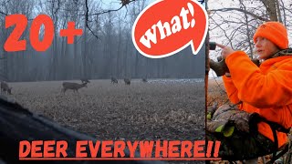 Michigan Firearm Season Opener 2022 Evening Hunt with .350 Legend Deer Everywhere!!