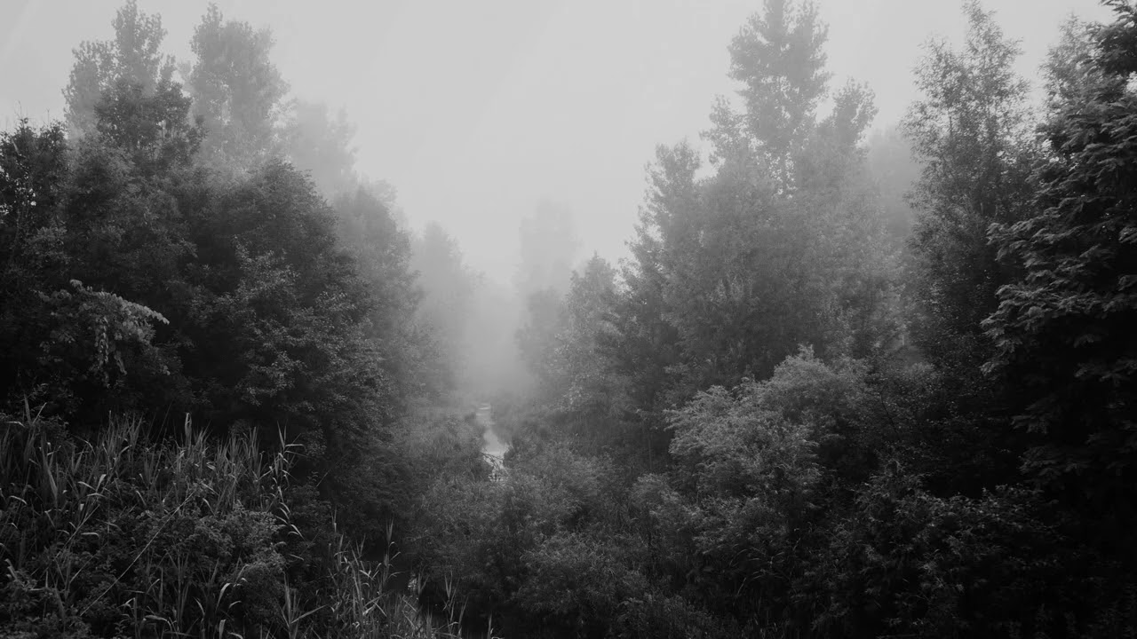 Deep Focus Dub | Gloomy Beats for Focus