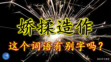 娇揉造作 容易写错的字 Word You Write Incorrectly 别字 错别字 形似字 affectation