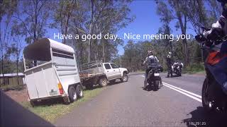 Bunya Boozing by theticus 59 views 2 years ago 1 minute, 4 seconds