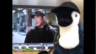 The Expendables 2 Jet Li(yang)  interview penguin