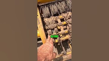 How This Machine Magically Picks Green Beans — FAST 🫘✨