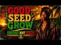 Good Seed Grow | Deep Conscious Roots Reggae mix | For Relaxation &amp; Meditation | Heavy Bass Dub