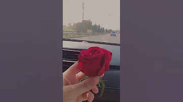 نجوى كرم يلعن البعد اربيل العراق اكسبلور متابعتكم تسعدني 