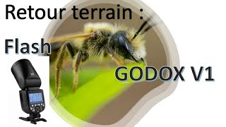 Retour terrain : flash Godox V1