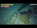 Night spearfishing episode 85  fish hunting at night