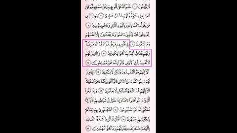 تلاوة سورة البقرة الآيات (10- 11) الشيخ محمد إبراهيم رزق