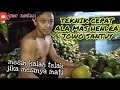 TEKHNIK KUPAS KELAPA MUDA TERCEPAT  YOUTUBER EDAN, ANEH, GOBLOK JOWO SANTUY ||  KELAPA MUDA