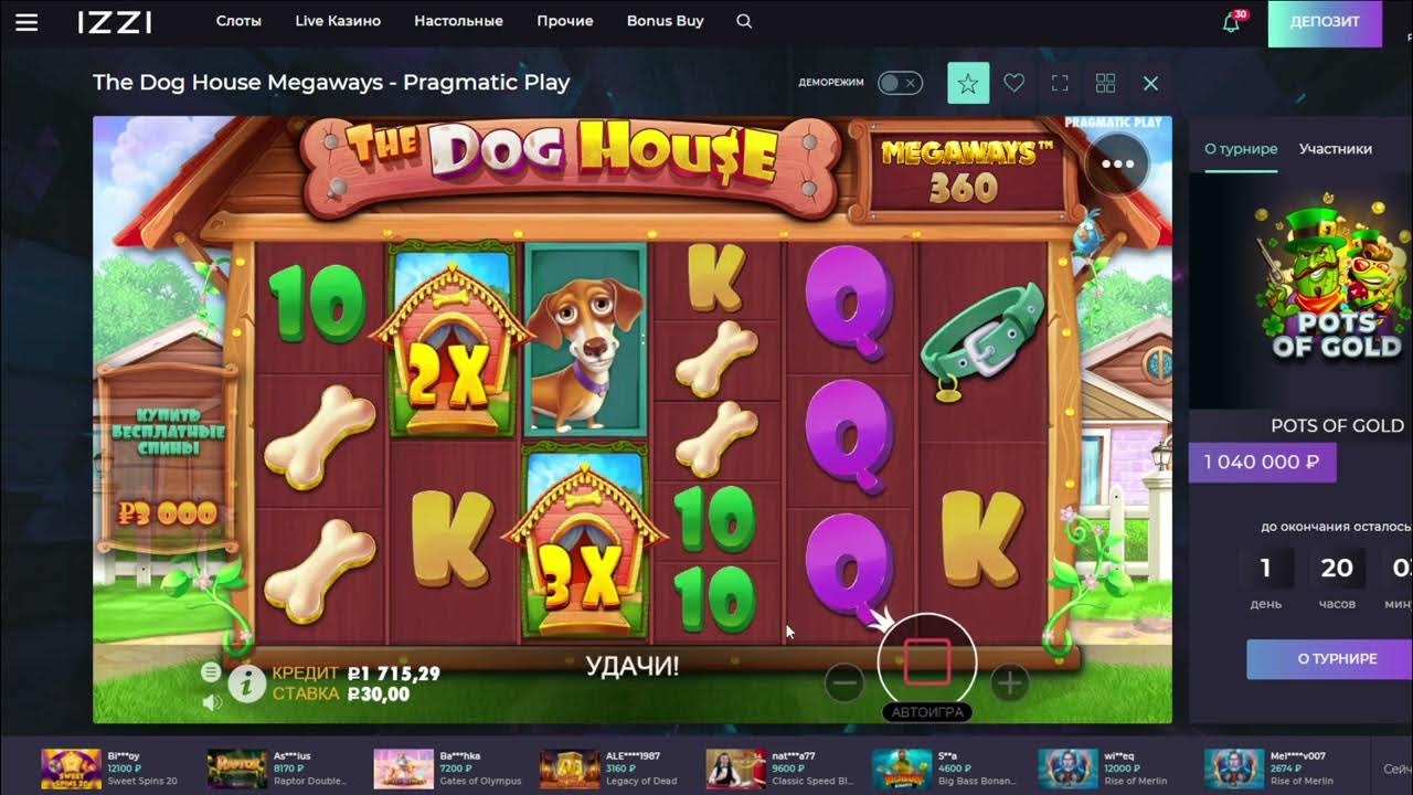Слот собаки. Играть в dog house 1win на деньги. Играть в dog house 1win на деньги. Dog house slot. Играть в dog house 1win на деньги.