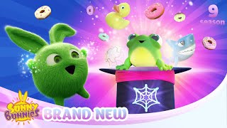 It's All in the Hat! - SUNNY BUNNIES | BRAND NEW EPISODE | Season 9 | Cartoons for Kids