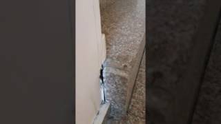 IMG 1123