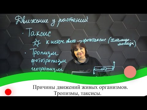 Причины движений живых организмов. (тропизмы, таксисы). 7 класс.