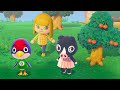 NASZ PIERWSZY DZIEŃ NA WYSPIE - Animal Crossing: New Horizons