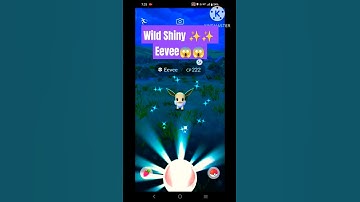 Ohh Finally Caught Shiny✨✨ Eevee in Wild in #pokemongo #pokemon #pokémon #pokémongo #shorts #shiny