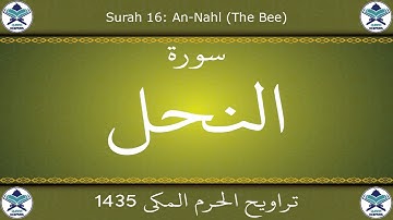 تراويح الحرم المكي 1435 - سورة النحل