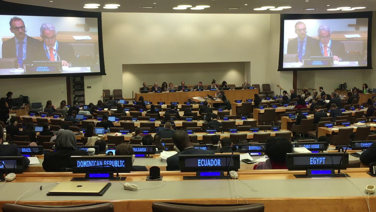 Supplementing the UN Basic Principles on the Independence of the Judiciary  | UN Special Rapporteur | United Nations Special Rapporteur on the  Independence of Judges and Lawyers