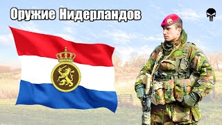 Стрелковое оружие армии Нидерландов