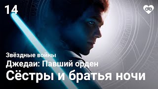 Прохождение Star Wars Jedi: Fallen Order —  Часть 14: Глава 2.3. Датомир [Сёстры и братья ночи]