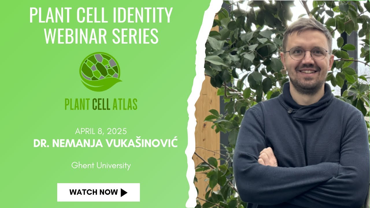 Plant Cell Identity Webinar Series - Dr. Nemanja Vukašinović