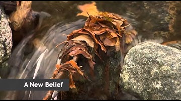 Go Paperless in 2016 #20Paperless16